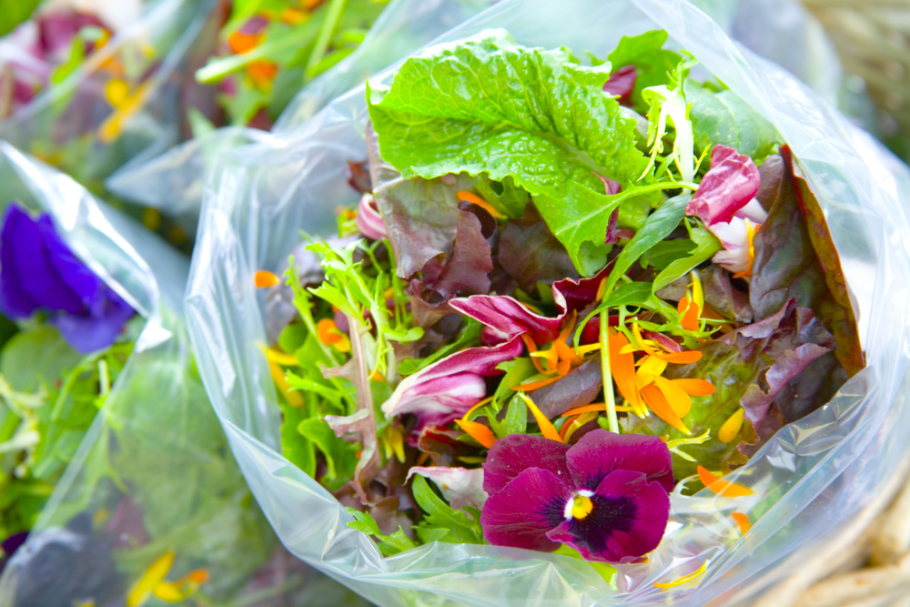 case study #1 vegetable salad in pouch